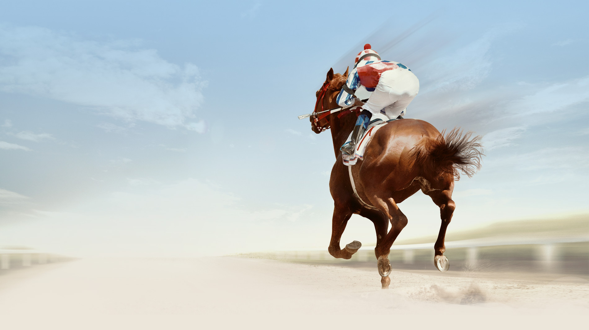 Support-banner